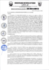 Vista preliminar de documento r334