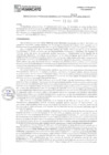 Vista preliminar de documento 742