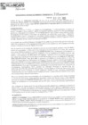 Vista preliminar de documento 716