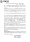 Vista preliminar de documento 732