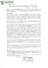 Vista preliminar de documento 730