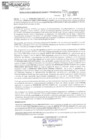 Vista preliminar de documento 724