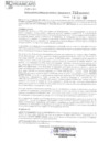 Vista preliminar de documento 753