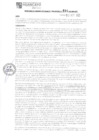 Vista preliminar de documento 601