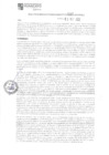 Vista preliminar de documento 599