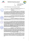 Vista preliminar de documento DIRECTIVA LINEAMIENTOS PARA LA ATENCION DE SOLICITUDES DE ACCESO A LA INFORMACION PUBLICA DEL PERPG