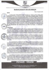 Vista preliminar de documento rgm393