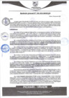 Vista preliminar de documento rgm398