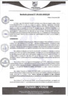 Vista preliminar de documento rgm399