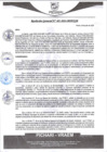 Vista preliminar de documento rgm401
