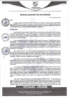 Vista preliminar de documento rgm405