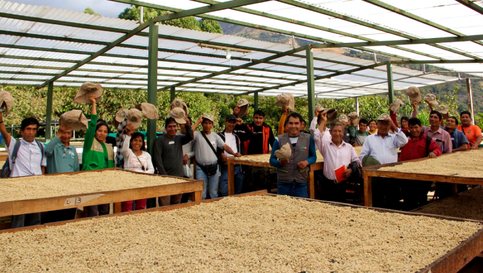 Caficultores de Cusco realizan pasantía para fortalecer conocimientos
