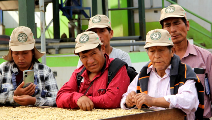 Caficultores de Cusco realizan pasantía para fortalecer conocimientos