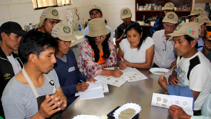 Caficultores de Cusco realizan pasantía para fortalecer conocimientos