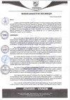 Vista preliminar de documento rgm407