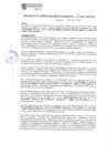Vista preliminar de documento RESOLUCION N° 119