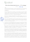 Vista preliminar de documento RESOLUCION N° 133