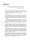 Vista preliminar de documento RESOUCION N° 162