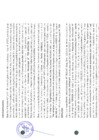 Vista preliminar de documento 3153