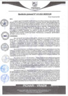Vista preliminar de documento rgm410