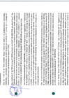 Vista preliminar de documento 3260