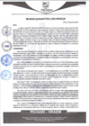 Vista preliminar de documento rgm411