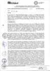 Vista preliminar de documento Conformadas por Resolución de Presidencia Ejecutiva N° 727-PE-ESSALUD-2021.