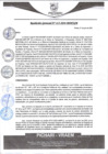 Vista preliminar de documento rgm413