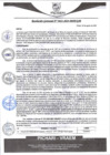Vista preliminar de documento rgm421