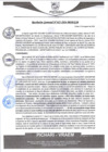 Vista preliminar de documento rgm423