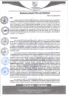Vista preliminar de documento rgm425