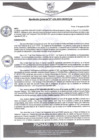 Vista preliminar de documento rgm426