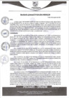 Vista preliminar de documento rgm428