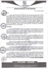 Vista preliminar de documento rgm434