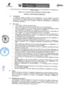 Vista preliminar de documento BASES DEL CPM 008-2024-UGELH