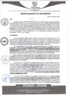 Vista preliminar de documento rgm437