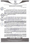 Vista preliminar de documento rgm438