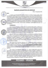 Vista preliminar de documento rgm440