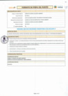 Vista preliminar de documento 005 PERFIL DE PUESTOS CAS 008-2024-MPP