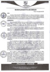 Vista preliminar de documento rgm445