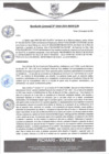 Vista preliminar de documento rgm448