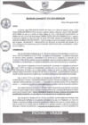 Vista preliminar de documento rgm455