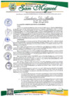 Vista preliminar de documento Resolucion Alcaldia 337-2024-MDSM/A