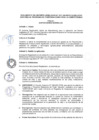 Vista preliminar de documento REGLAMENTO