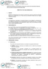 Vista preliminar de documento DIRECTIVA PARA SUMISIONES FORMALES DAB