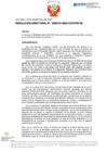 Vista preliminar de documento RD Nº D000131-2024-DE