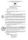 Vista preliminar de documento RA N 198 - Renuncia OGPP