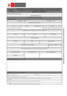 Vista preliminar de documento Formato de solicitud de saluda temporal de bienes culturales propiedad de Jefes de Misión, Cónsules o Diplomáticos acreditados