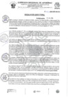 Vista preliminar de documento RESOLUCION DIRECTORAL N 423 - 2024-HSR-AND-DE