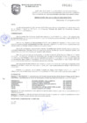 Vista preliminar de documento 0310-01-08-2018-RECONOCIMIENTO COMITE VECINAL AH 25 OCT. II 